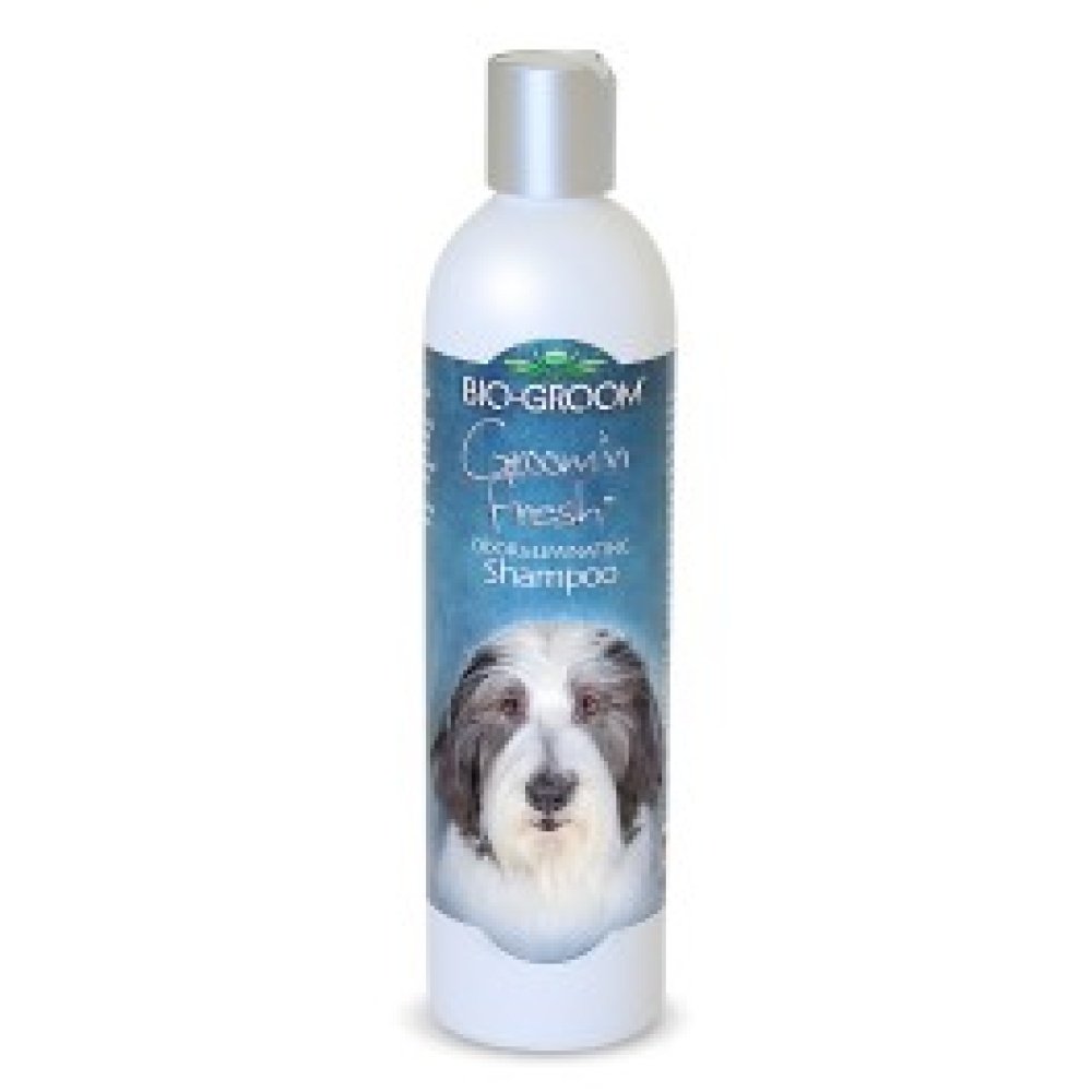 bio-groom-sampunas-groom-n-fresh