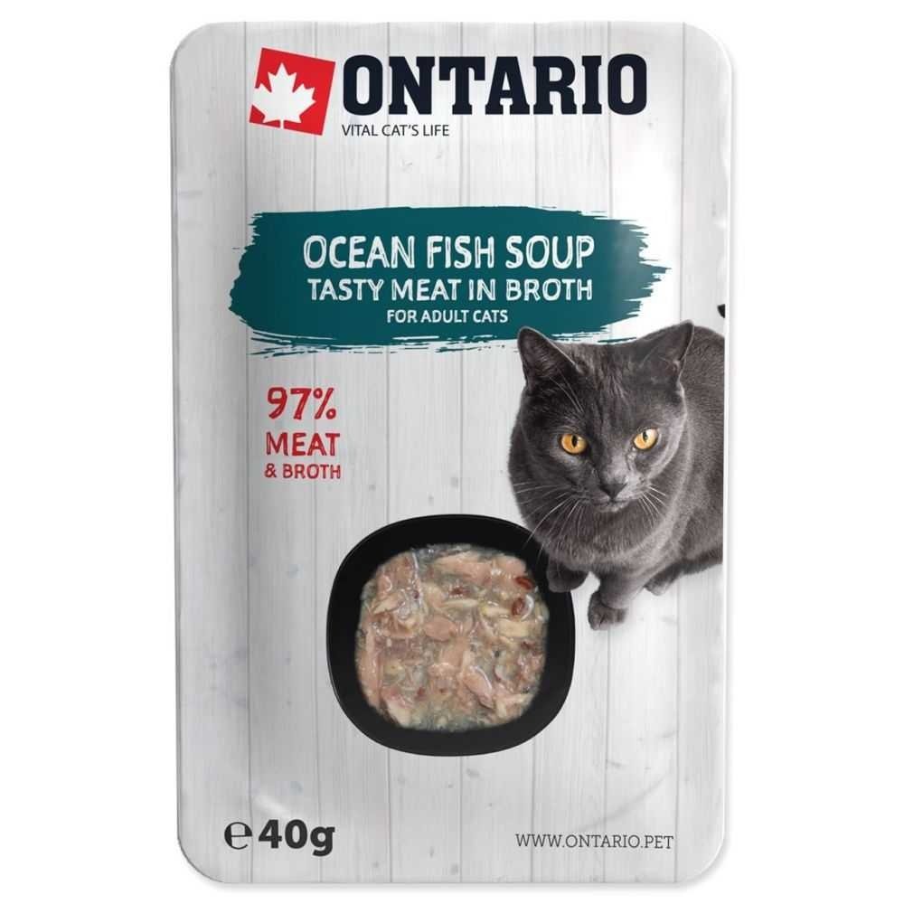 ontario-cat-soup-ocean-fish-with-vegetables-sriuba-katems-40-gr