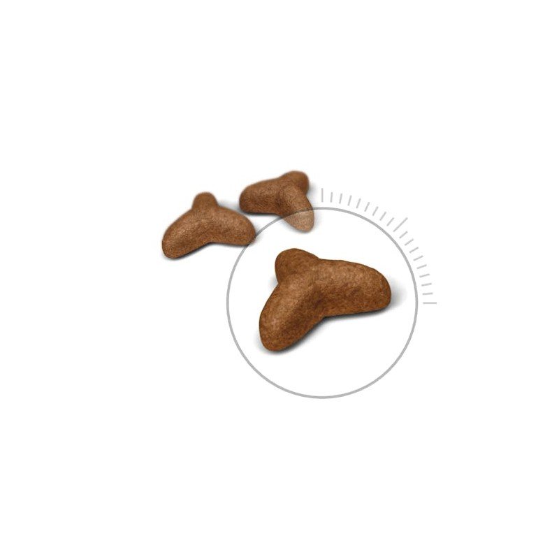 Royal Canin Light Weight care sausas pašaras katėms 2kg. - 8kg. - Image 2