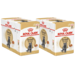 Royal Canin British Shorthair šlapias maistas katėms 85g. x 12vnt.